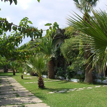 Damnoni Paradise Exterior photo