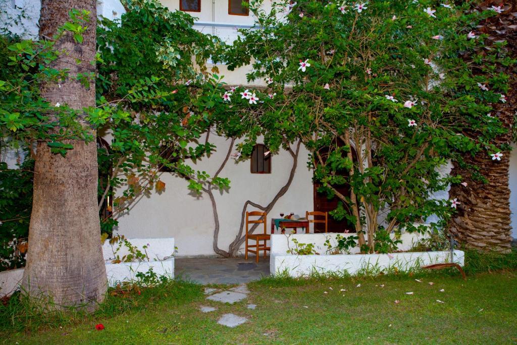 Damnoni Paradise Room photo